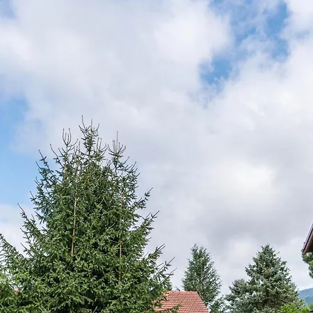 Apartmán Bayerwald